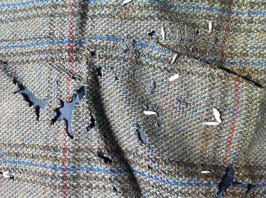 衣柜里面有褐色的小虫子怎么办,衣柜长小虫子是什么原因