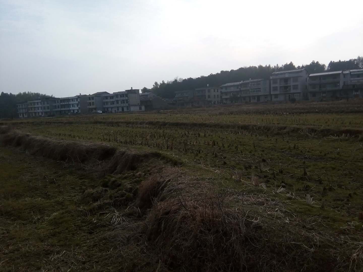 如果同时爱上两个人怎么办,女人可以同时爱上两个人吗