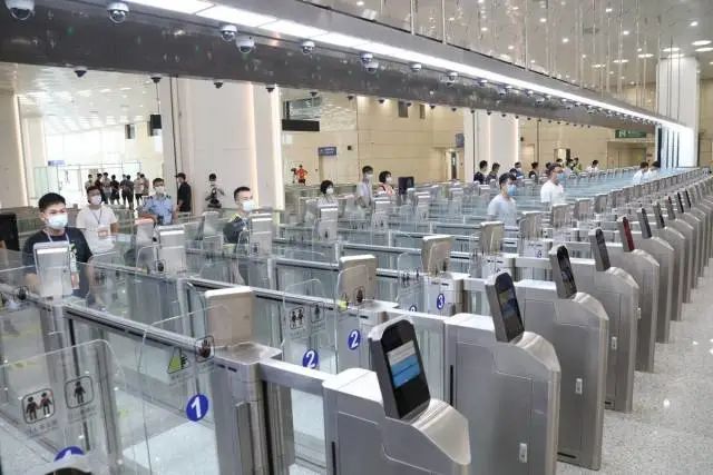 奋进粤港澳大湾区,奋进新征程筑梦大湾区