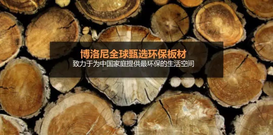 宁波博洛尼全屋定制,鞍山博洛尼全屋定制