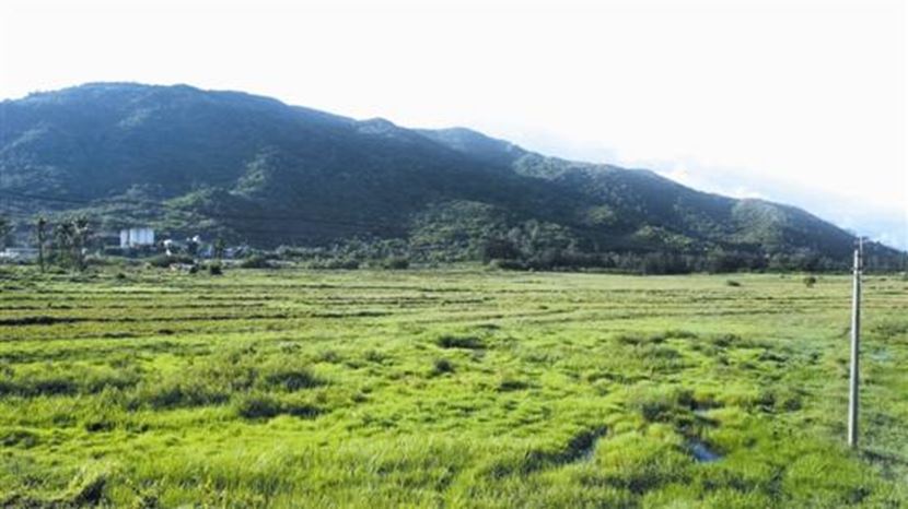 陵水住清水湾哪个位置好,陵水清水湾旅居推荐