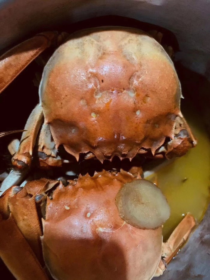 秋风起吃蟹忙吃蟹的禁忌您知道吗,秋风起蟹脚痒一年一度吃蟹季