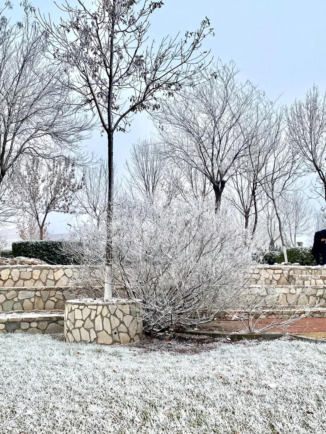 天津医科大学七所直属医院,天津医科大学独立学院是几本