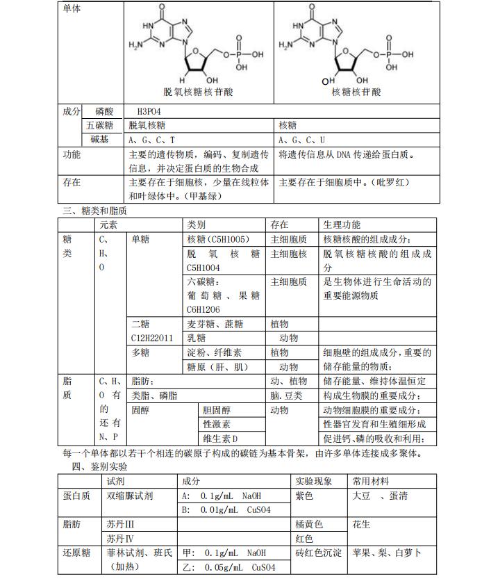 高中生物重难点分析怎么写,高中生物知识点总结与梳理大全