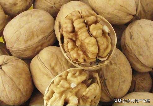 河北十大特产，雪花梨、坝上口蘑、白洋淀松花蛋，保定春不老