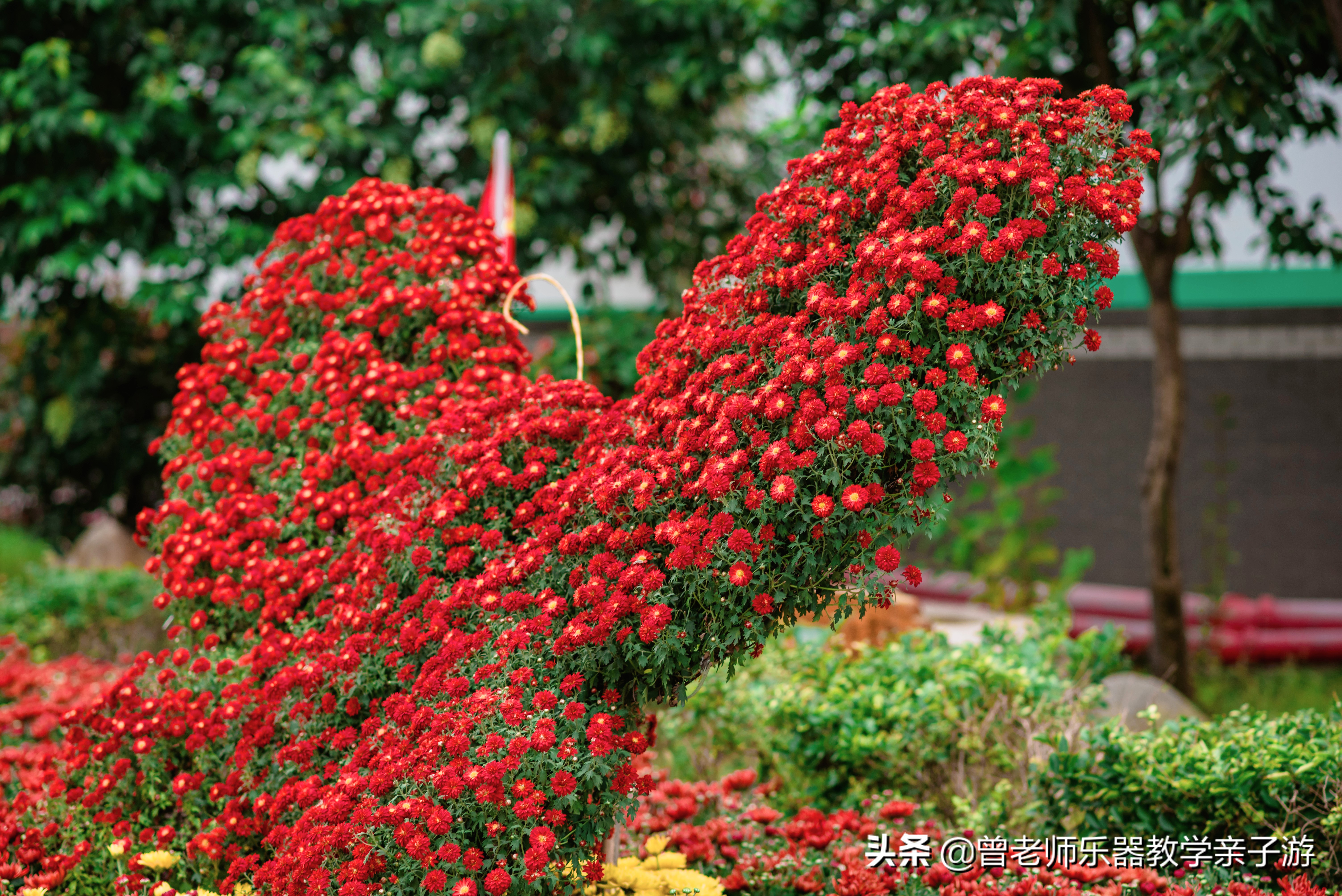 爱菊研学游,爱菊丝路文化菊花园西安