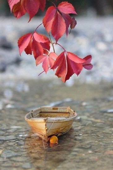 迷茫人生若只如初见,人生若只如初见时间跨度