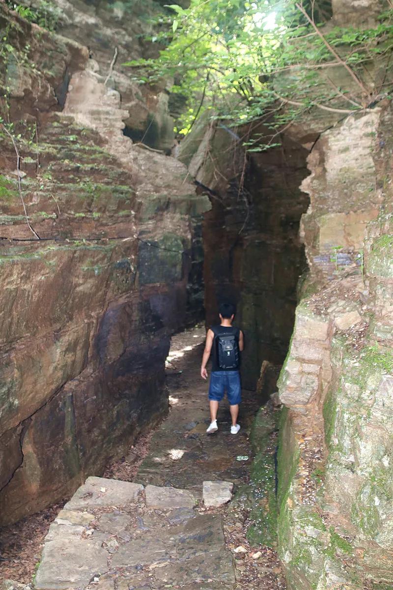 抱犊寨高考生优惠,中考生免费福利