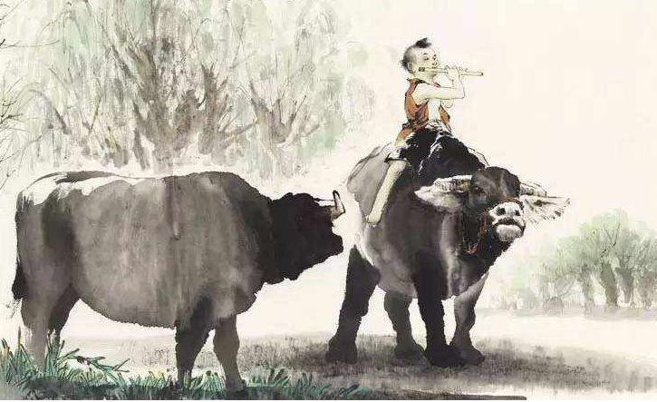 古诗词鉴赏看什么书,诗词鉴赏小学生必背古诗