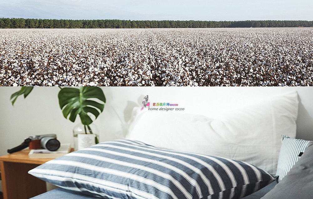 9个*疆新**棉家居工厂店，平价实用，品质不输国外大牌，值得收藏