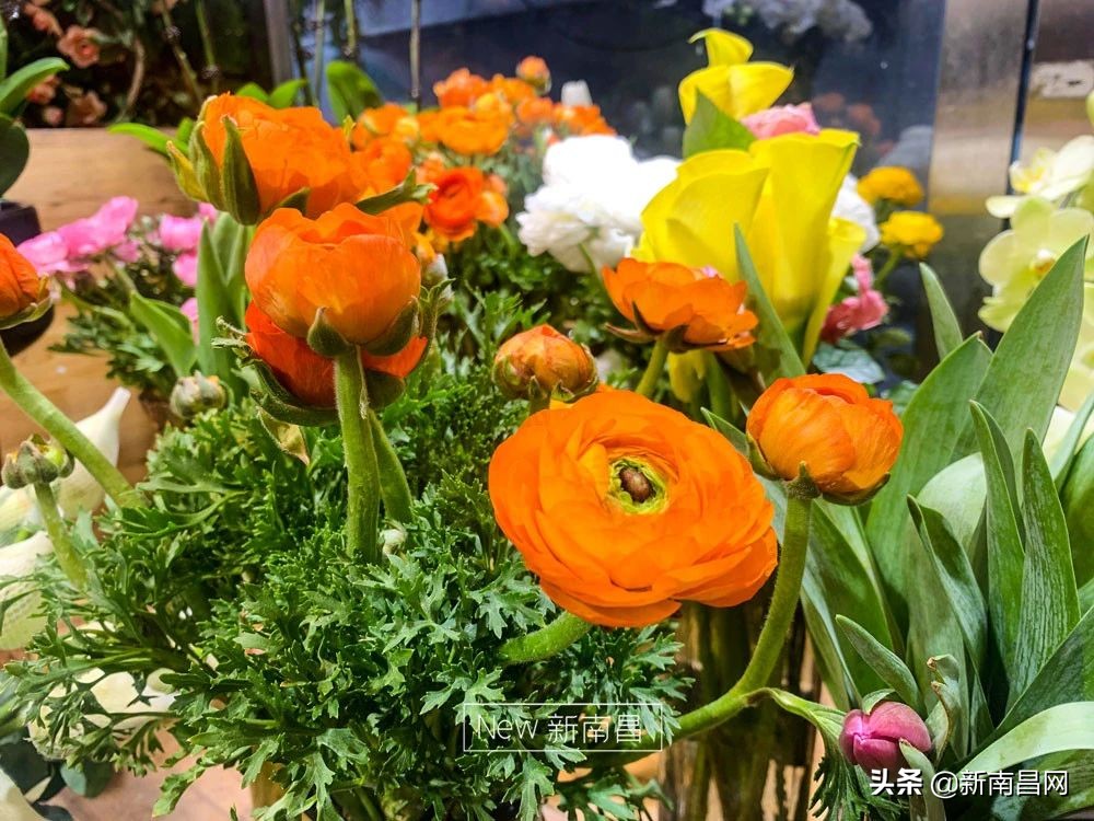 南昌花市有哪些地方,南昌花市批发市场