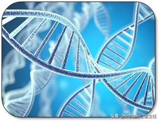 科研绘图流程模板,科研绘图教程