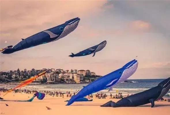 来澳洲才知道的事,来悉尼才知道的事