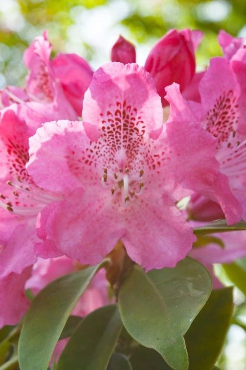 摄影拍照怎么避免雾气,拍照如何除去雾感