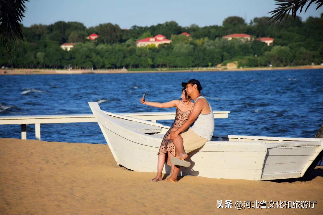 留在秦皇岛,秦皇岛为什么那么多人