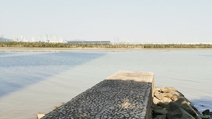 去澳门看看到底是啥样子,澳门看海的地方在哪里