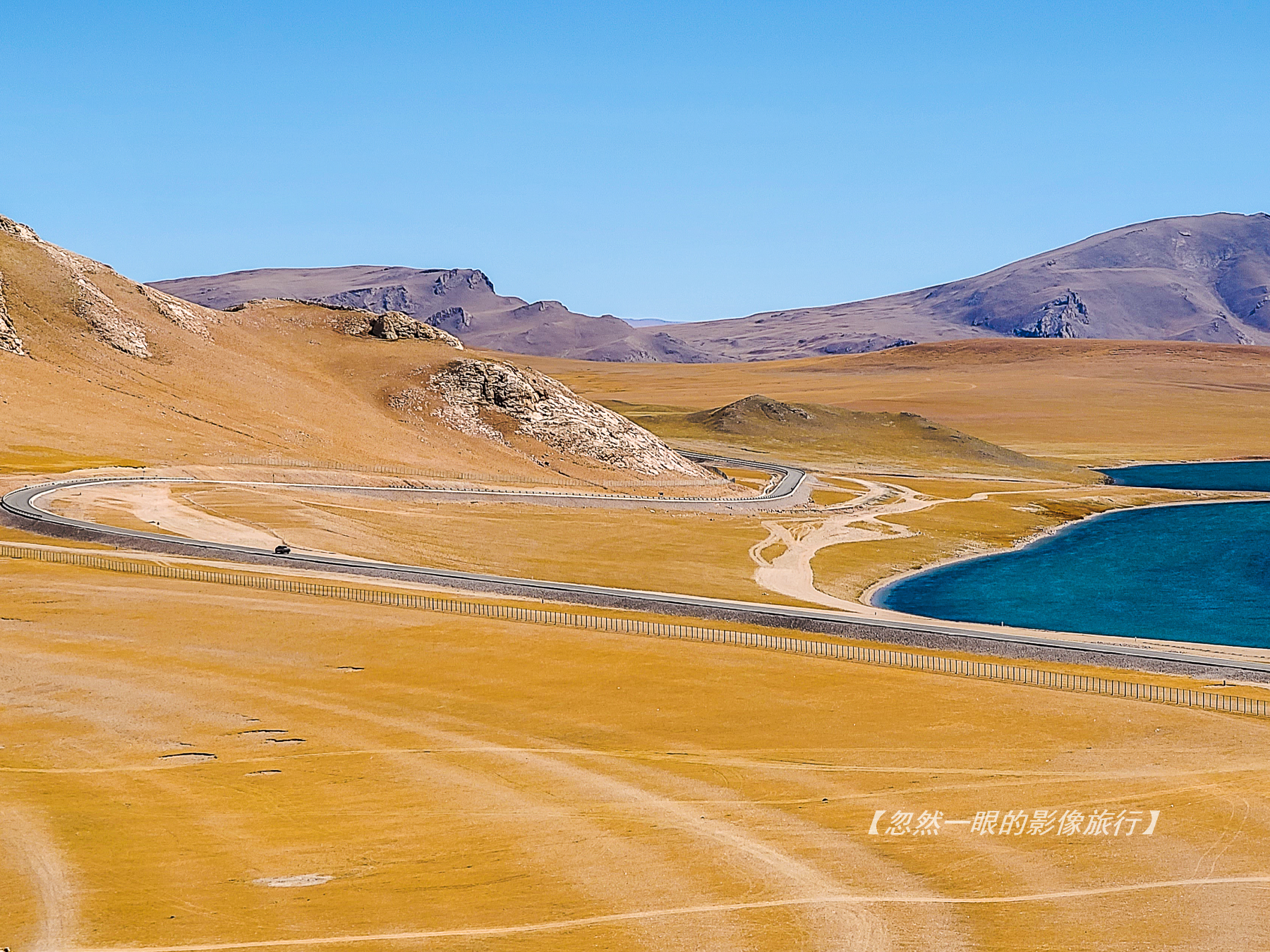 阿里无人区野狼出没,阿里无人区狐狸
