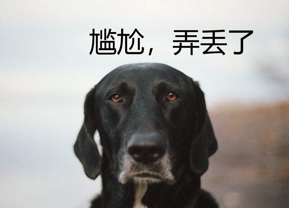 晚上睡不着看这八句话,晚上睡不着看电影的句子