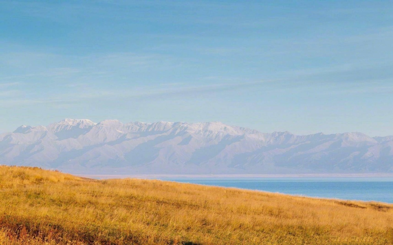如芸民宿卡怎么样,如芸民宿哪里最好