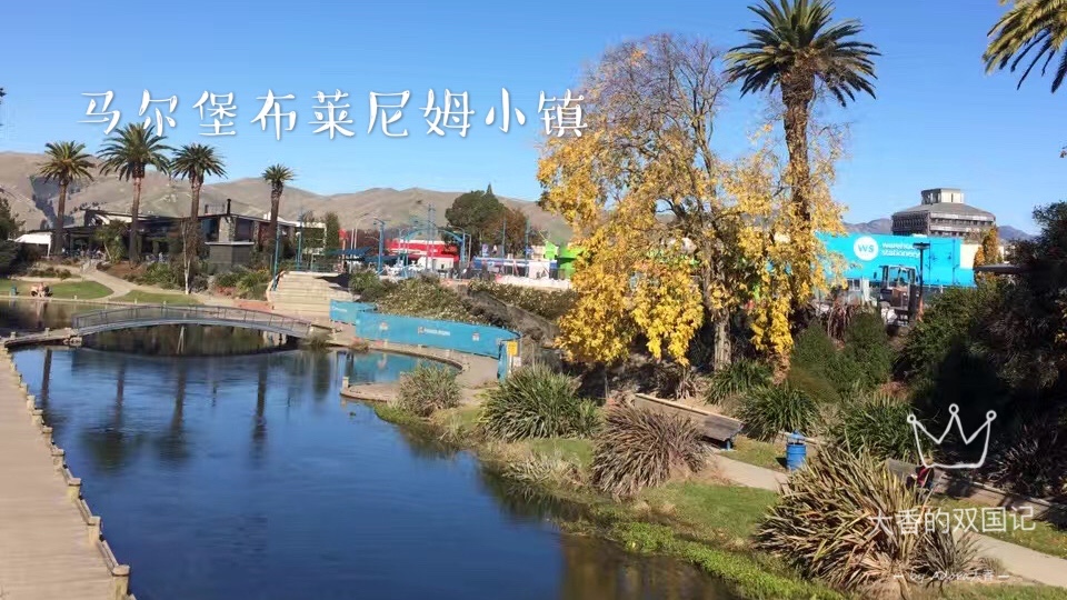 新西兰眼中的中国人,新西兰人看待中国学生