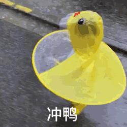 2020儿童滑步车赛事嘉年华,2023中国儿童滑步车超级联赛计划