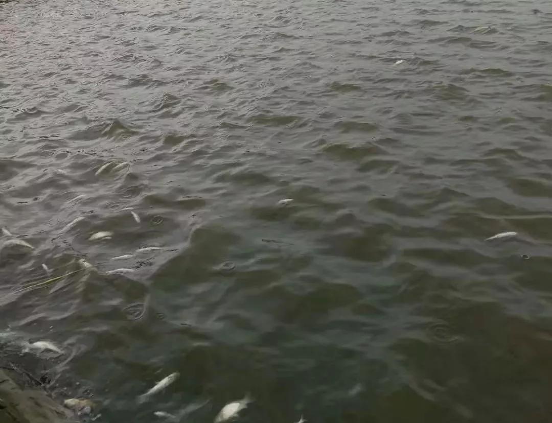 天气转冷，烂身“打印病”开始增多