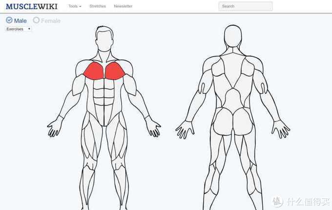 最好用的外国神器,国外好用的实用网站