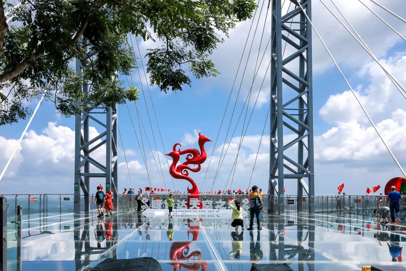 呀诺达雨林探险是什么,三亚呀诺达雨林正规吗