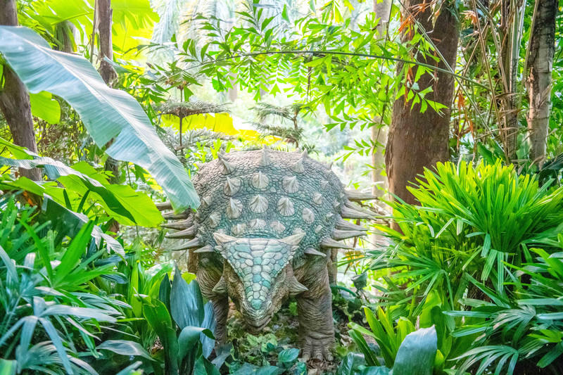 玩转广州长隆野生动物世界之行,广州长隆动物世界游玩攻略图