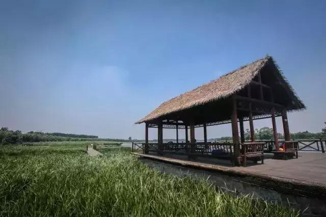 北京小众湿地公园免费,北京周边湿地公园
