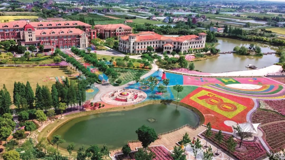 封面故事|嘉善共青团：做共同富裕的青春先行者