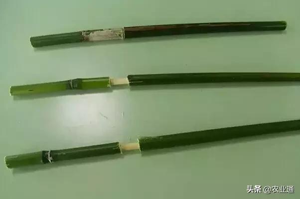 80后小时候玩的纸玩具,小时候玩过的玩具80后满满的回忆