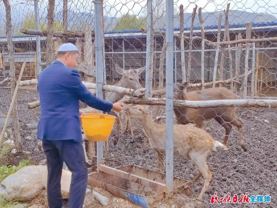 拜阿不都：向幸福一“鹿”出发