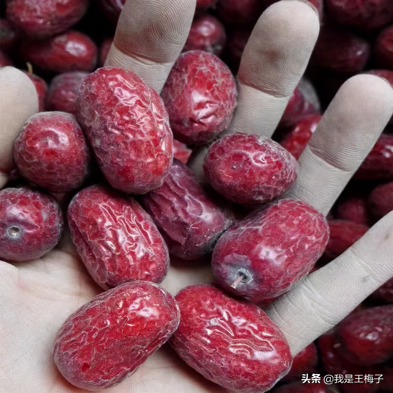 若羌灰枣肉厚小枣香浓郁,沙漠灰枣特产