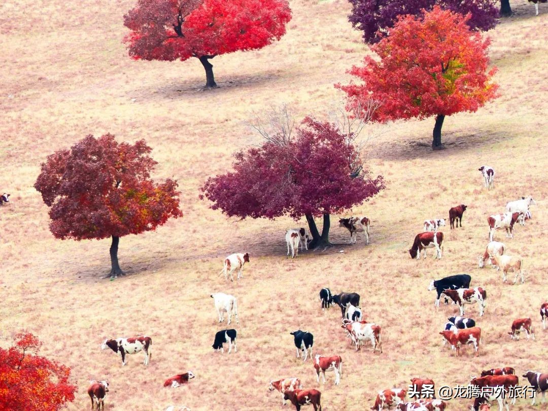 内蒙古最后的秘境！一脚跨3省，美了4季，高铁直达却低调了5000年​