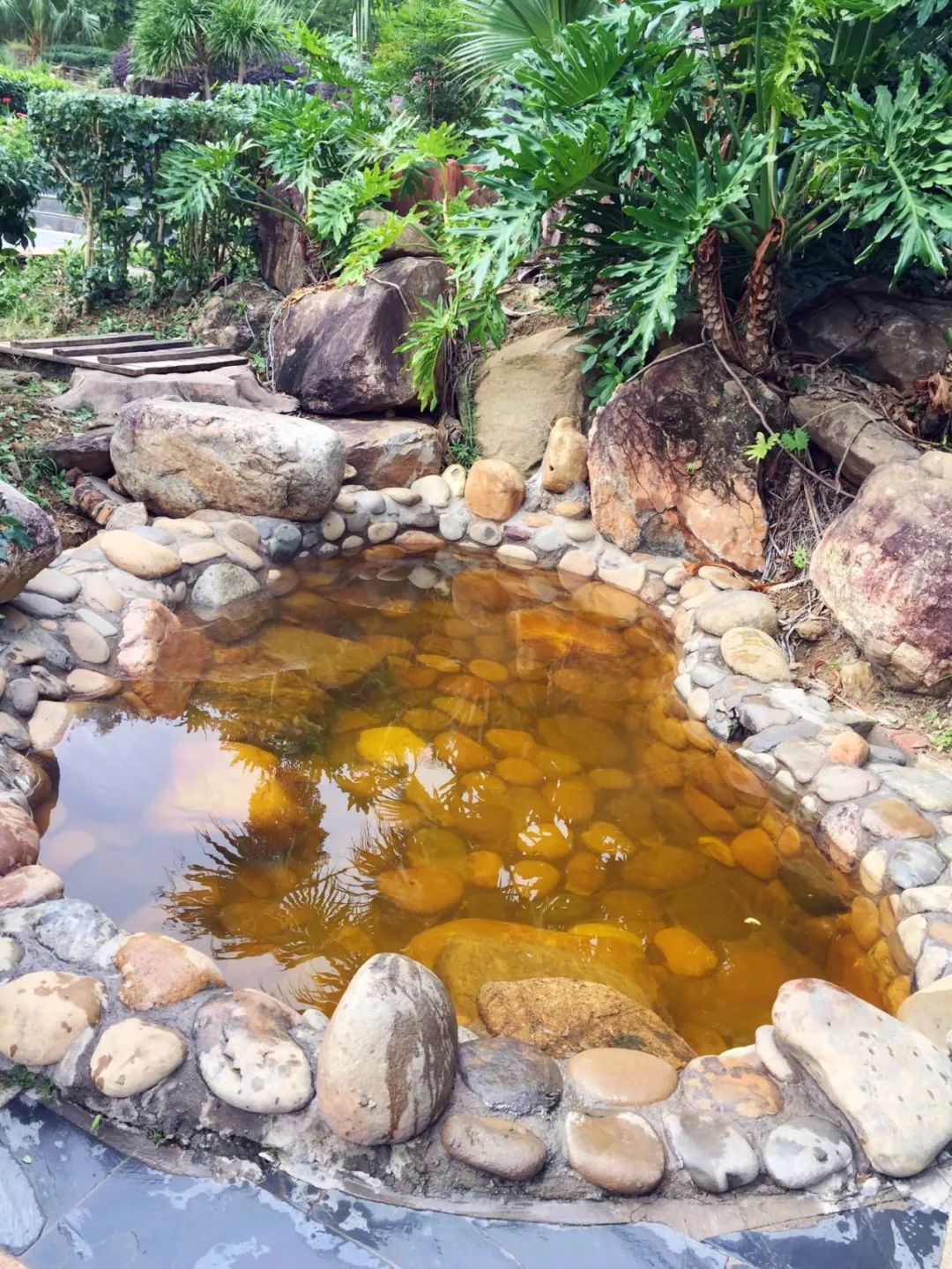 惠州博罗木屋温泉,惠州富力养生谷网红温泉度假别墅