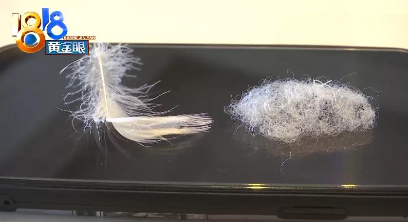 绉戦粯瀹跺叿娌欏彂,绉戦粯娌欏彂