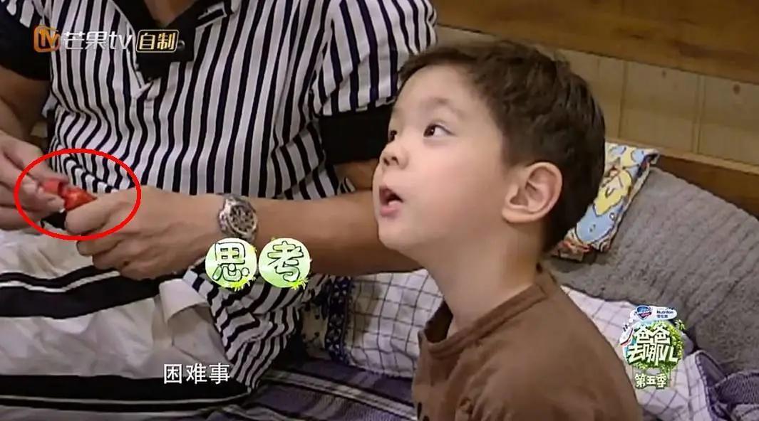 新西兰必买清单超全整理,新西兰产品哪些值得买