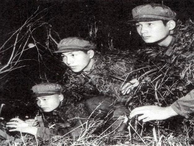 副连长发现，越军阵地细微变化：昨天插的伪装，今天蔫了