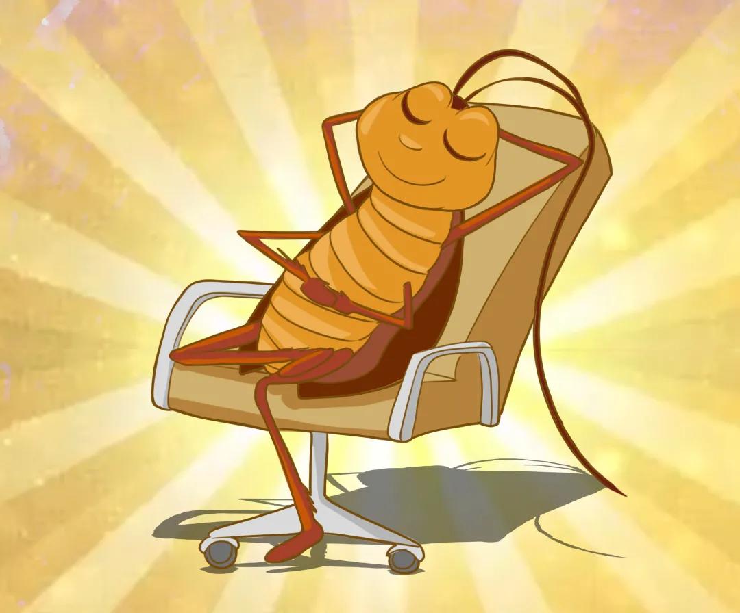 是谁在敲打我窗段子,是谁在敲打我窗片段