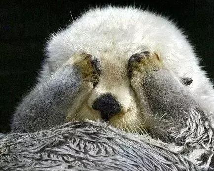 麻疹水痘最快治疗方法,麻疹风疹水痘