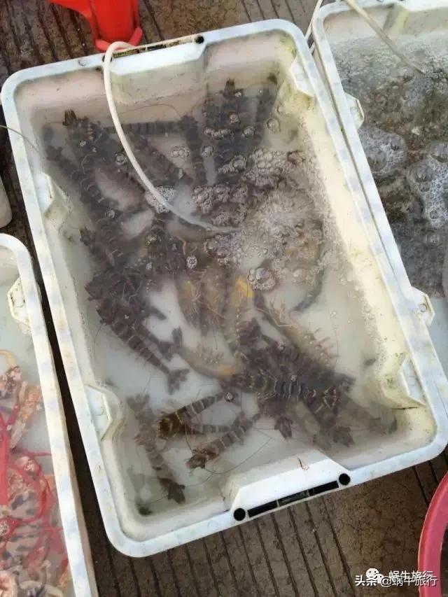 不输青岛,海鲜管饱!天堂滩升级为马代防城港分代