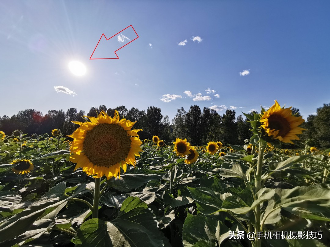 十倍光学变焦公认最好拍照手机,1亿像素5倍光学变焦手机有哪些