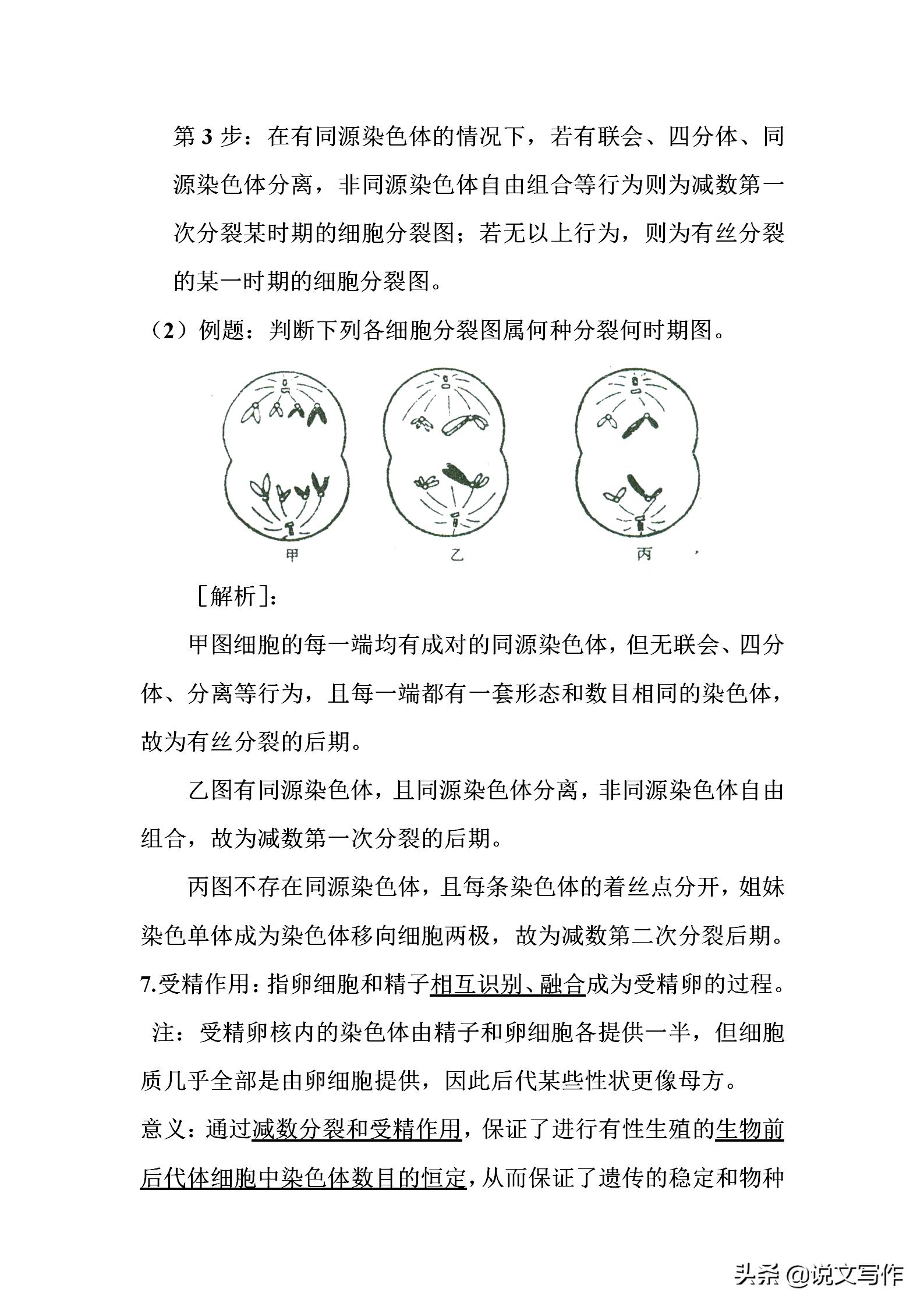 高中生物必修二减数分裂有丝分裂,人教版高中生物必修二课本电子版