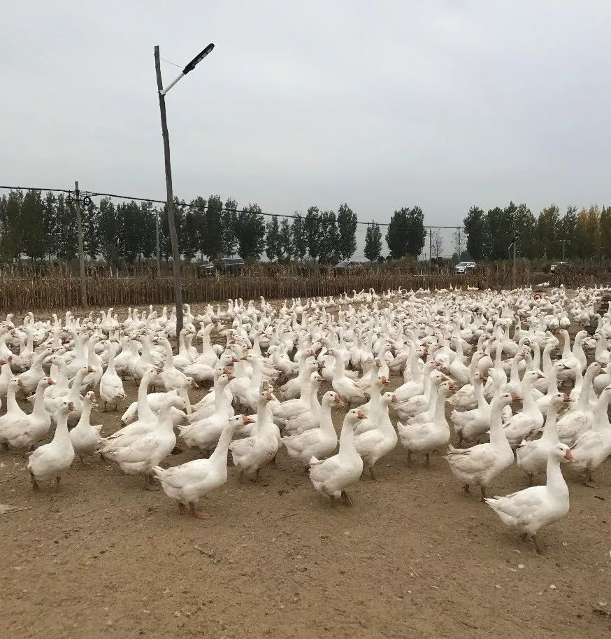 瓦房店真是个好地方,爱上大连这座城