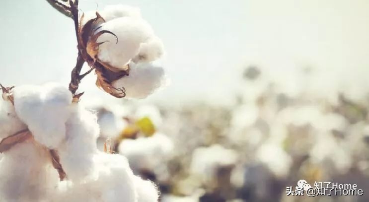 c罗时尚被套,c罗床单四件套时尚潮流