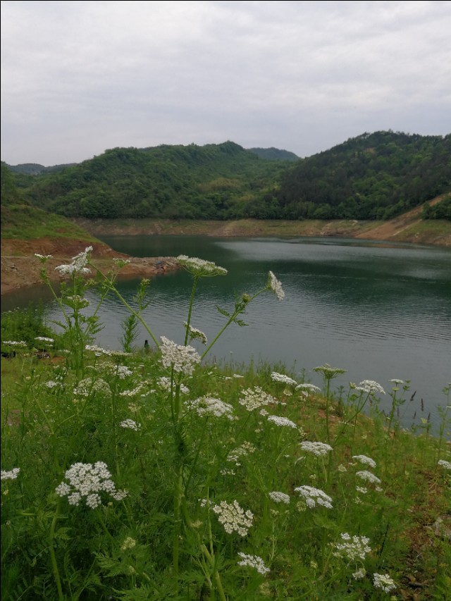 庚子律诗100首,庚子杂咏时间