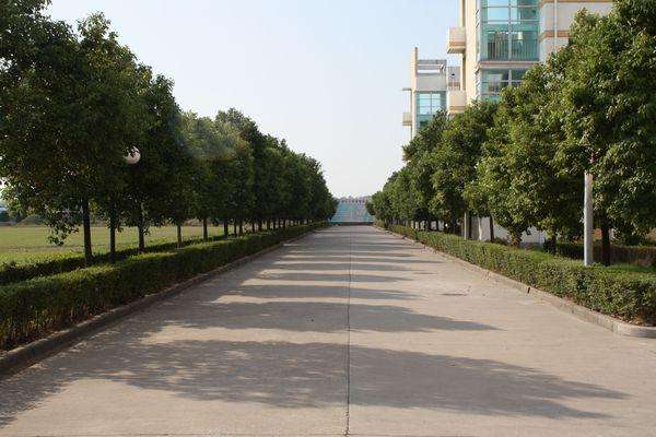 泰州市塘湾实验学校六三班,泰州市塘湾实验学校官网