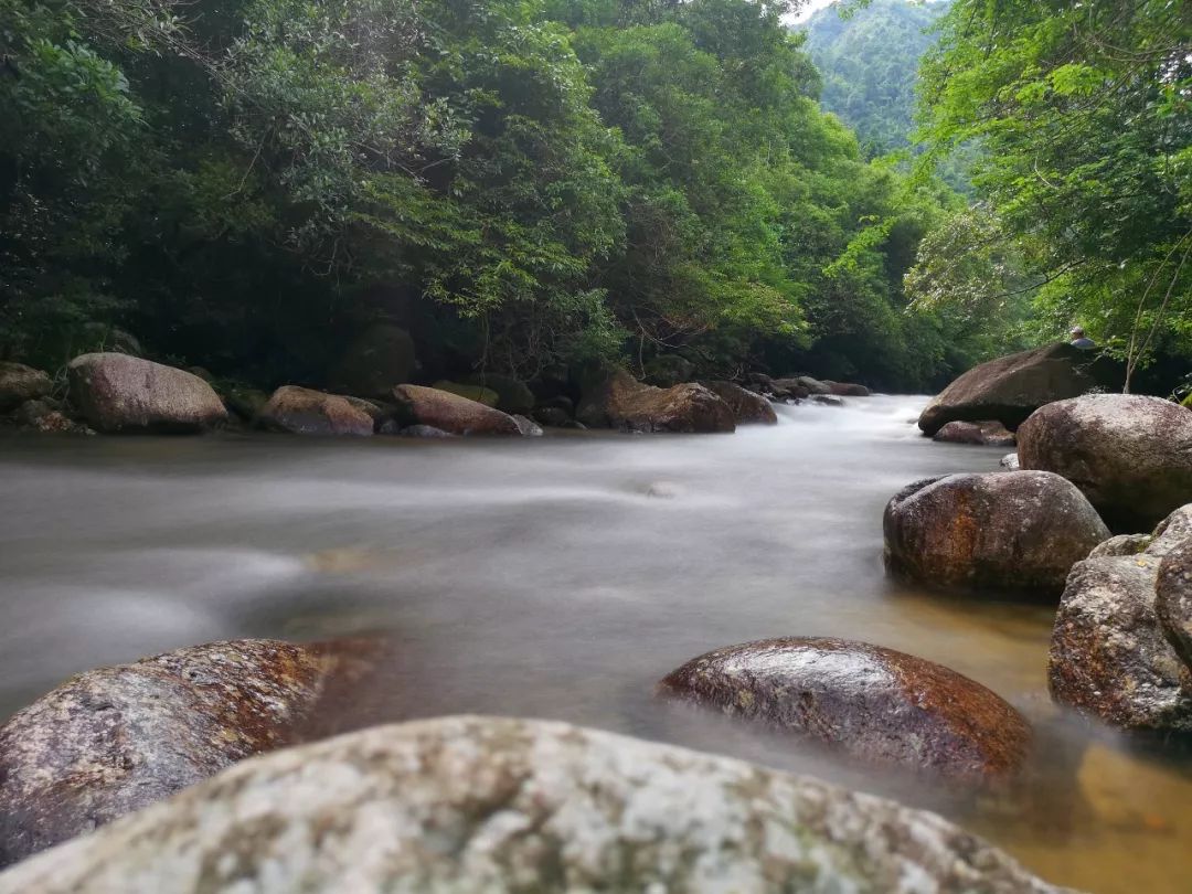 贺州姑婆山景区国家森林公园,贺州姑婆山森林公园路线