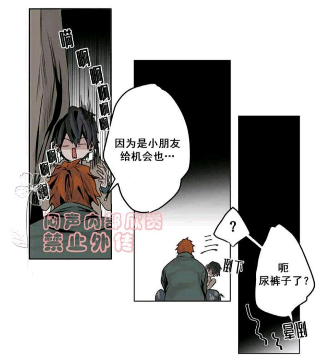 死亡之鸟的凝视第十八话完整版,死亡之鸟的凝视漫画免费